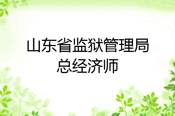 山东省监狱管理局总经济师
