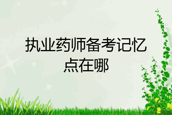 执业药师备考记忆点在哪