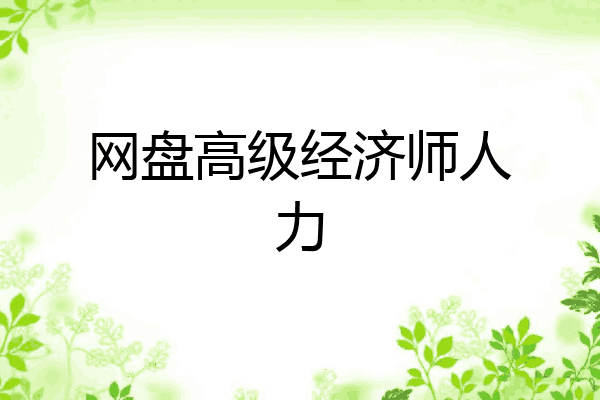 网盘高级经济师人力