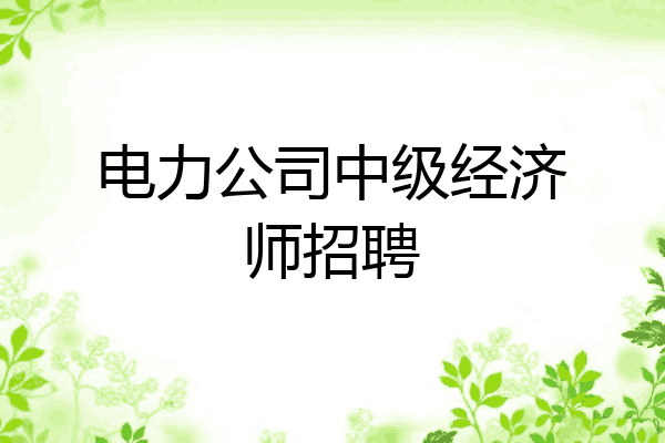 电力公司中级经济师招聘