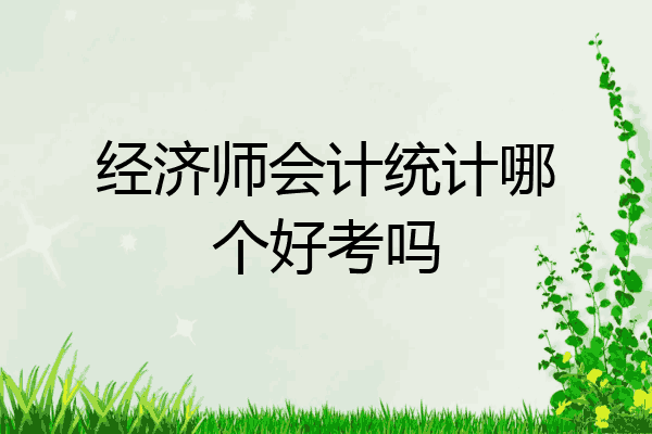 经济师会计统计哪个好考吗