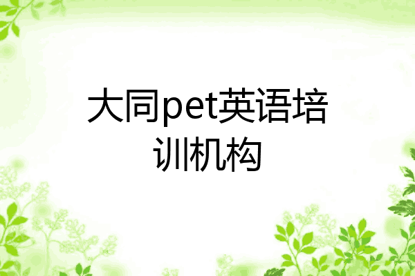 大同pet英语培训机构
