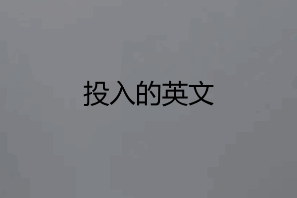 投入的英文