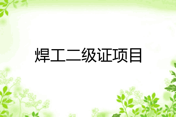 焊工二级证项目