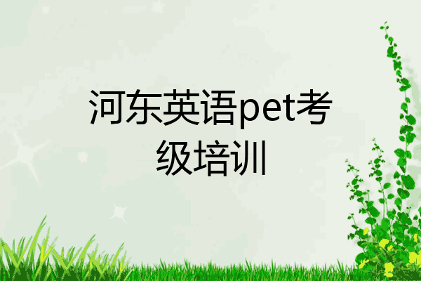 河东英语pet考级培训