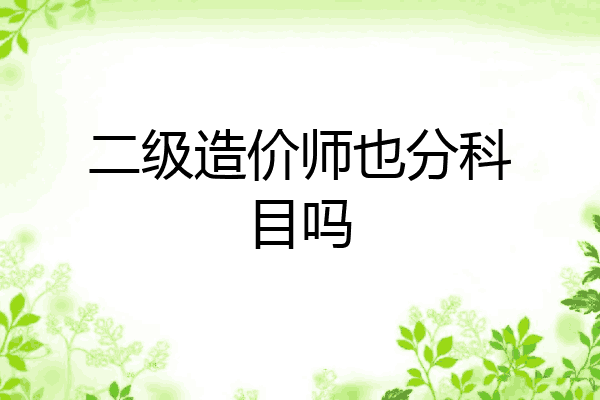 二级造价师也分科目吗