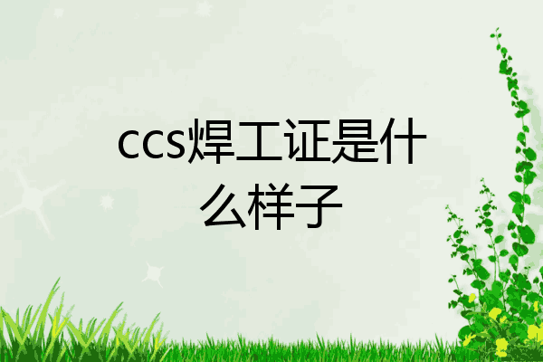 ccs焊工证是什么样子