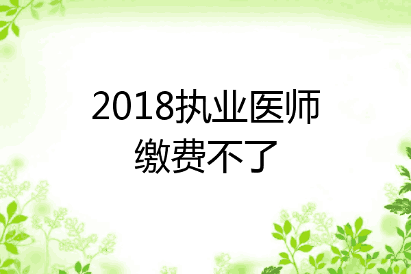 2018执业医师缴费不了