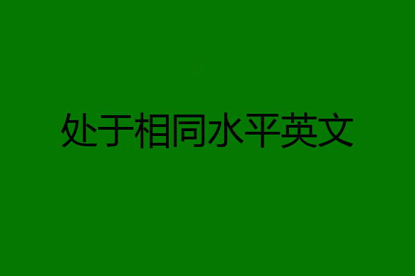 处于相同水平英文