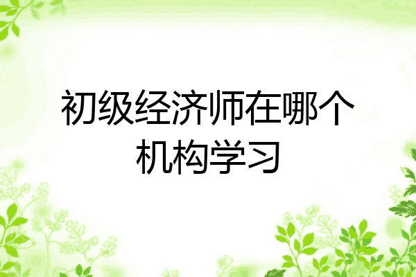初级经济师在哪个机构学习