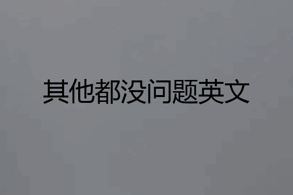 其他都没问题英文