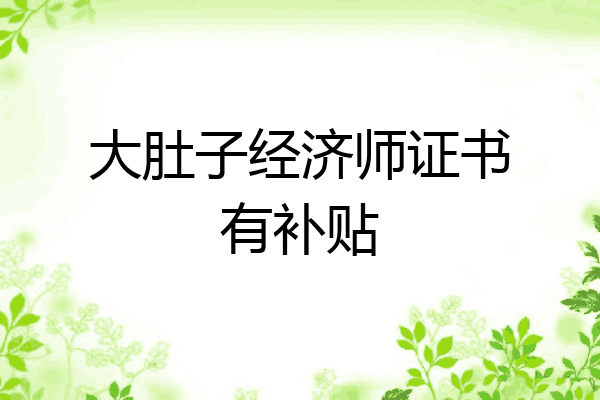 大肚子经济师证书有补贴