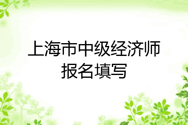 上海市中级经济师报名填写