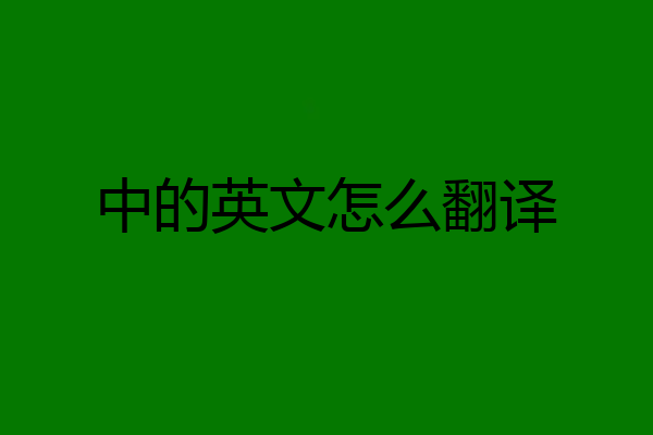 中的英文怎么翻译