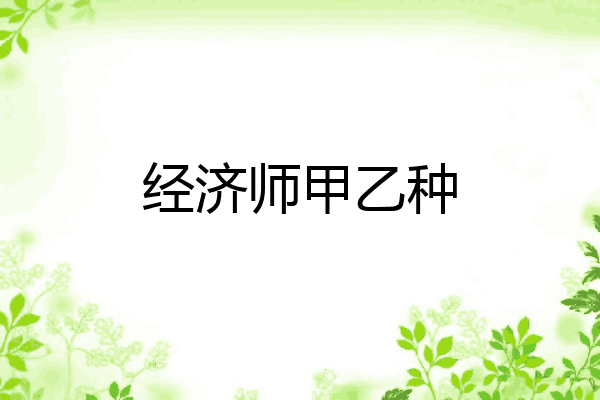 经济师甲乙种