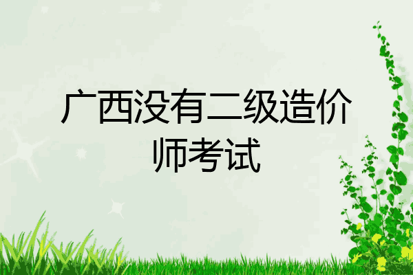 广西没有二级造价师考试