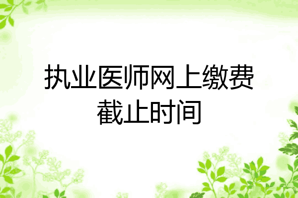 执业医师网上缴费截止时间