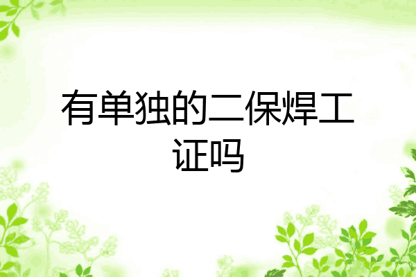 有单独的二保焊工证吗