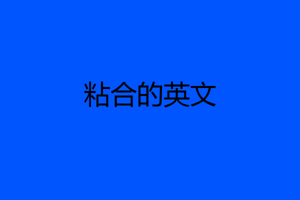 粘合的英文