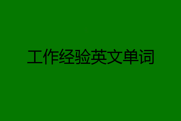 工作经验英文单词