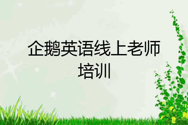企鹅英语线上老师培训