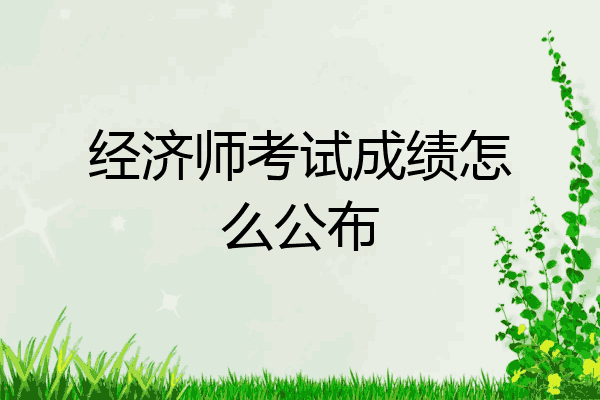 经济师考试成绩怎么公布