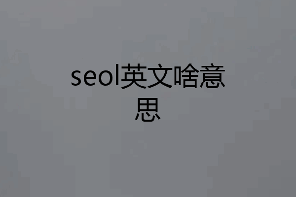 seol英文啥意思