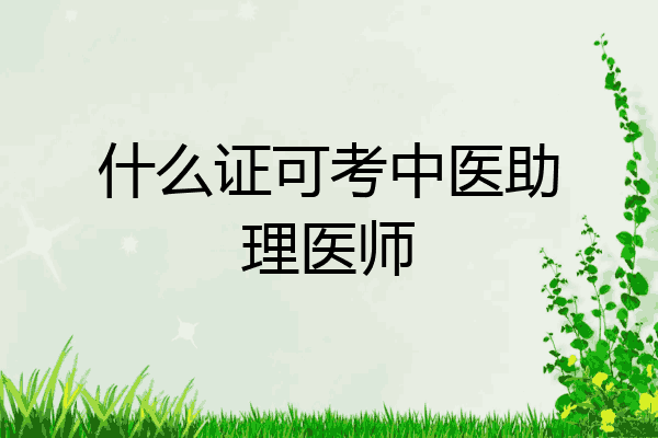 什么证可考中医助理医师