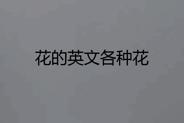 花的英文各种花