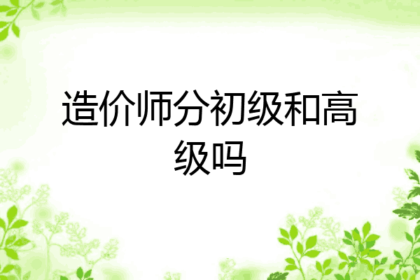 造价师分初级和高级吗
