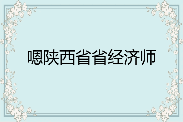 嗯陕西省省经济师