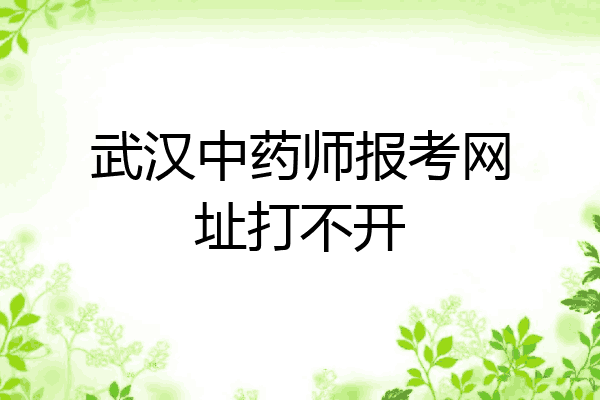 武汉中药师报考网址打不开