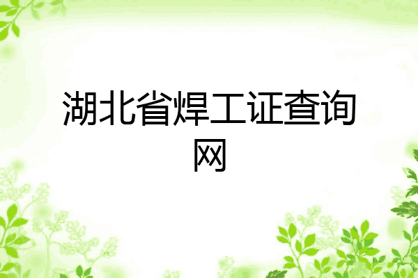 湖北省焊工证查询网