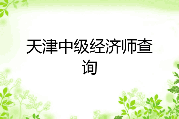 天津中级经济师查询