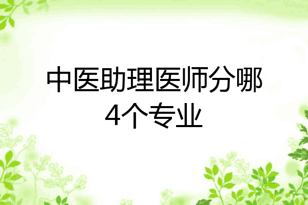 中医助理医师分哪4个专业