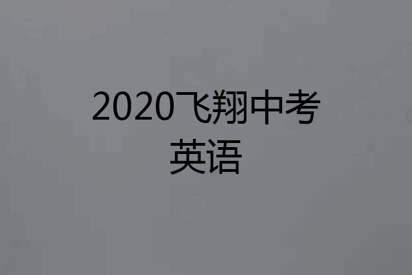 2020飞翔中考英语