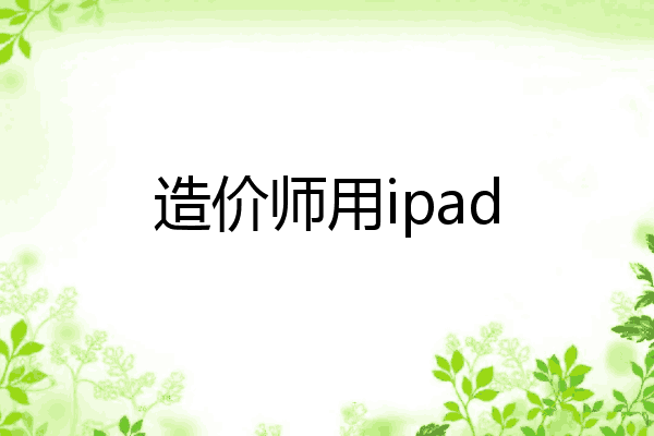 造价师用ipad