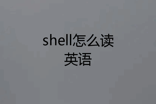 shell怎么读英语