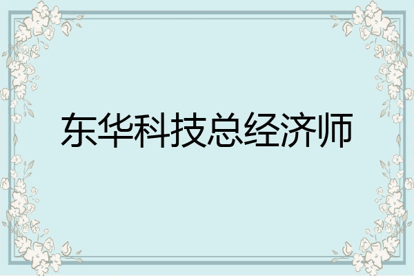 东华科技总经济师
