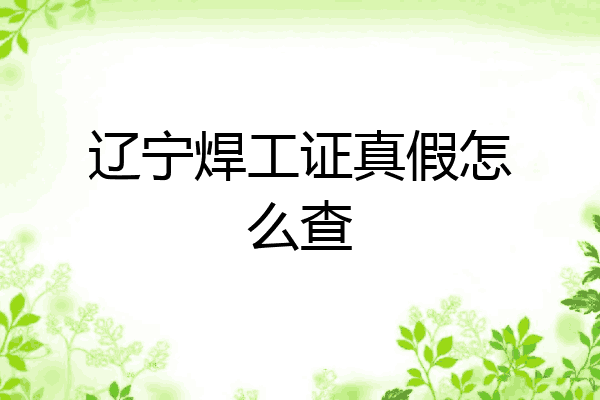 辽宁焊工证真假怎么查