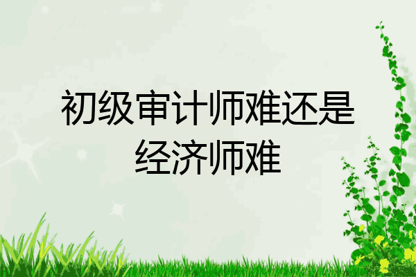 初级审计师难还是经济师难