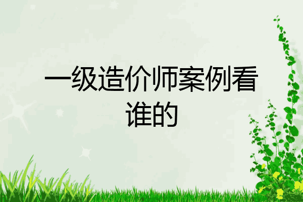 一级造价师案例看谁的
