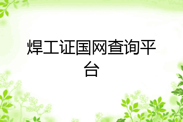 焊工证国网查询平台