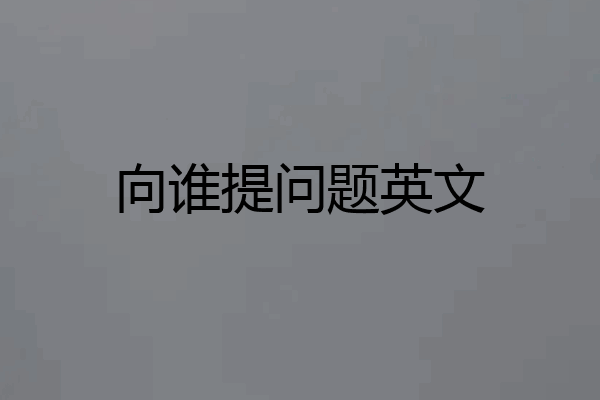 向谁提问题英文