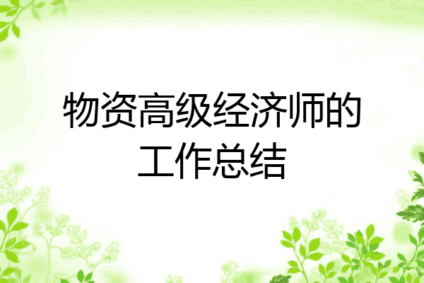 物资高级经济师的工作总结