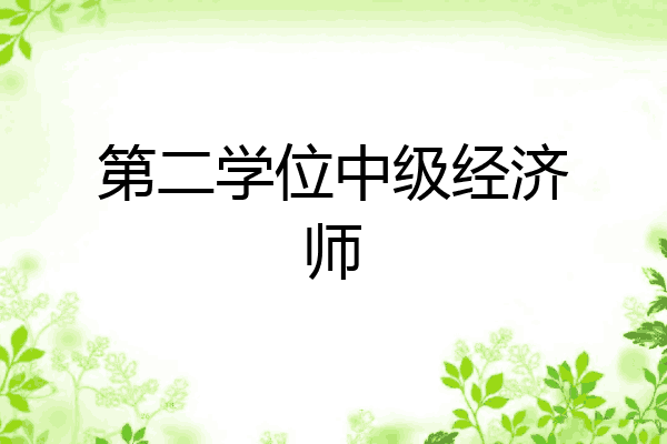 第二学位中级经济师