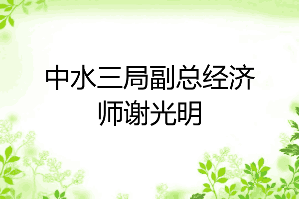 中水三局副总经济师谢光明