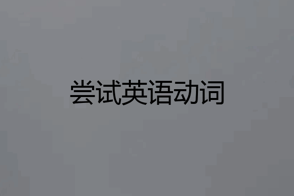 尝试英语动词