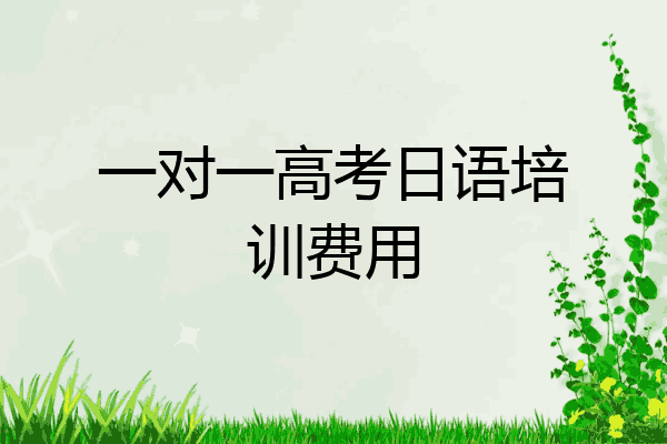 一对一高考日语培训费用