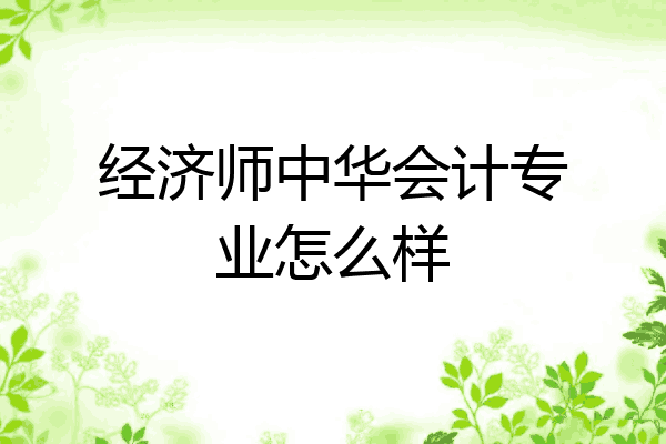 经济师中华会计专业怎么样